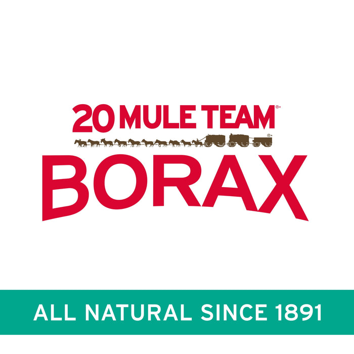 Borax 20 Mule Team Detergent Booster, 65 Oz.