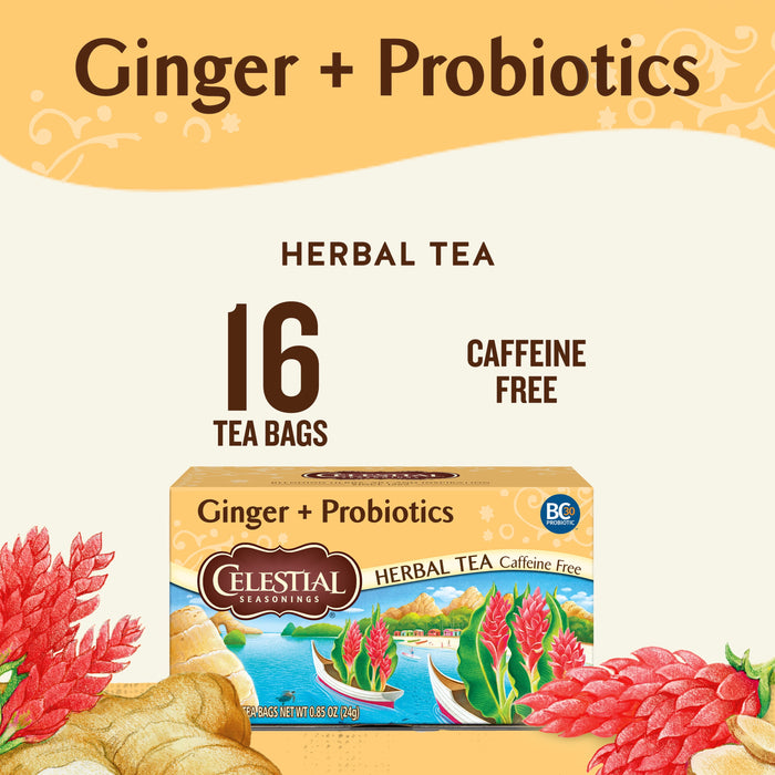 Celestial Seasonings Ginger + Probiotics Herbal Tea Bags, Caffeine Free, 20 Count