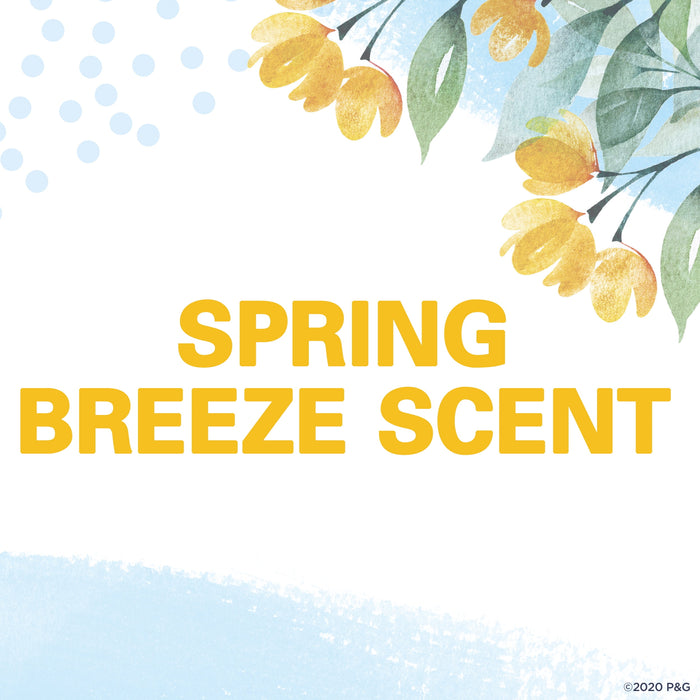 Secret - Invisible Solid Spring Breeze Deodorant 2.60 oz