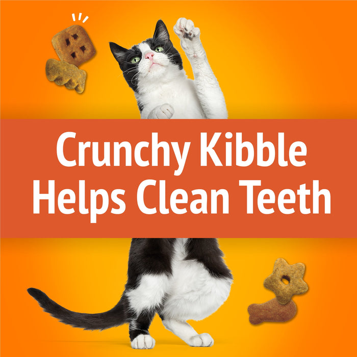 Friskies Party Mix, Original Chicken Liver & Turkey, 6 oz