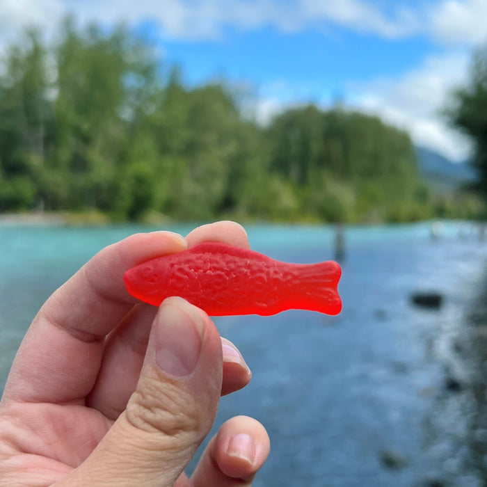 Swedish Fish Candy, 8.00 oz BB.12/23/2024