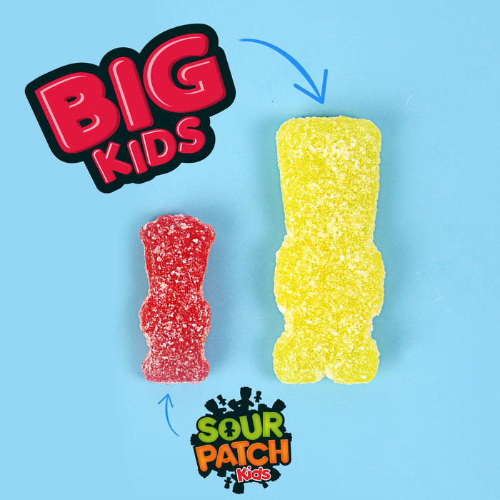 SOUR PATCH KIDS KIDS ASSORTED SOFT CANDY 1.7 LB