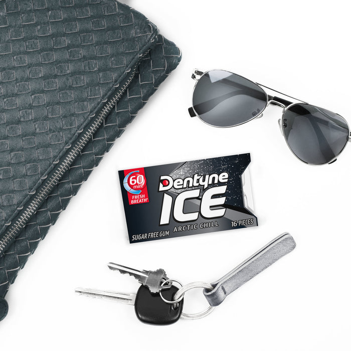 Dentyne Ice Arctic Chill Sugar Free Gum, 3 Packs of 16 Pieces (48 Total Pieces)