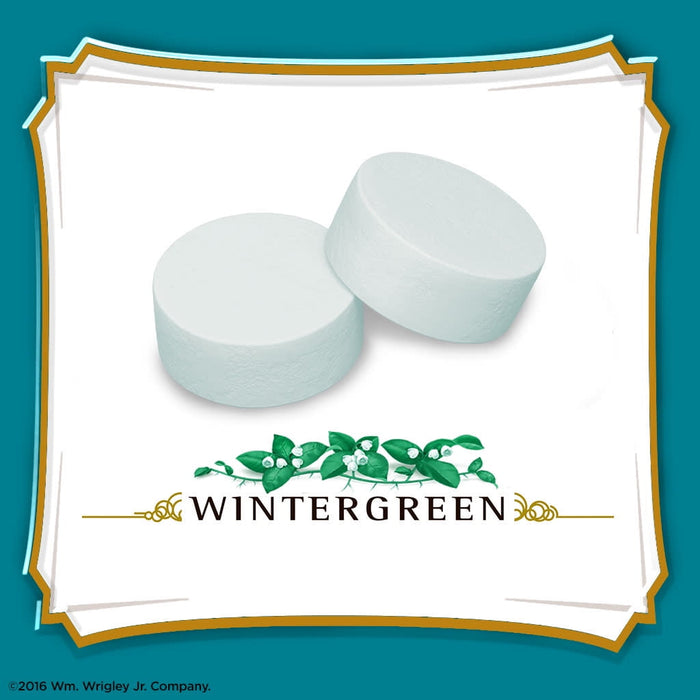 Altoids Classic Spearmint Breath Mints Hard Candy - 1.76 oz each Tin